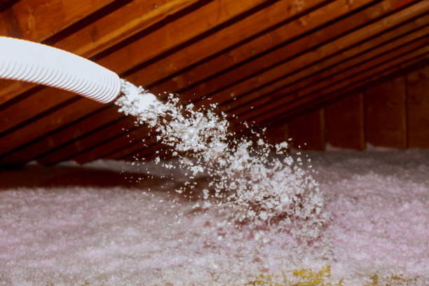 Best Geographic-Specific Insulation Services in Wendell, ID