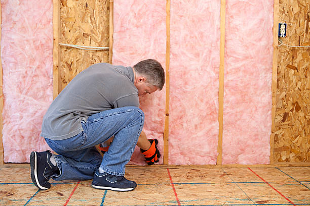 Best Commercial Insulation in Wendell, ID